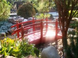 10 ft Double rail , Painted Red 