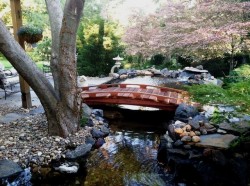 Here is a 12 Japanese bridge in a wonderful setting.