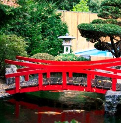 A Japanese Red Special Bridge, fit very well in a Japanese theme. 