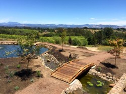Here is a Japanese bridge
